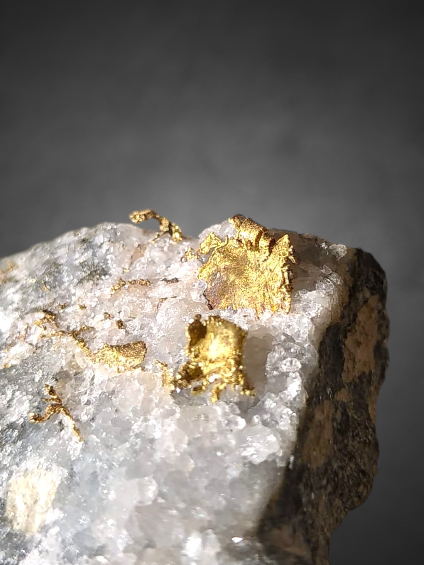 Native/ged. Gold xx - Rosia Montana, Rumänien