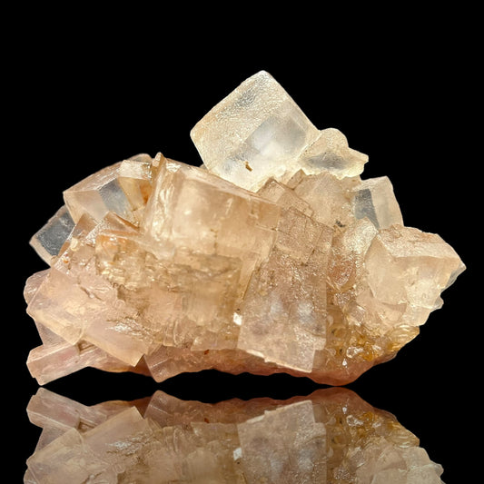 Mangano Halit/e, Gypsum - Bleicherode, Thüringen