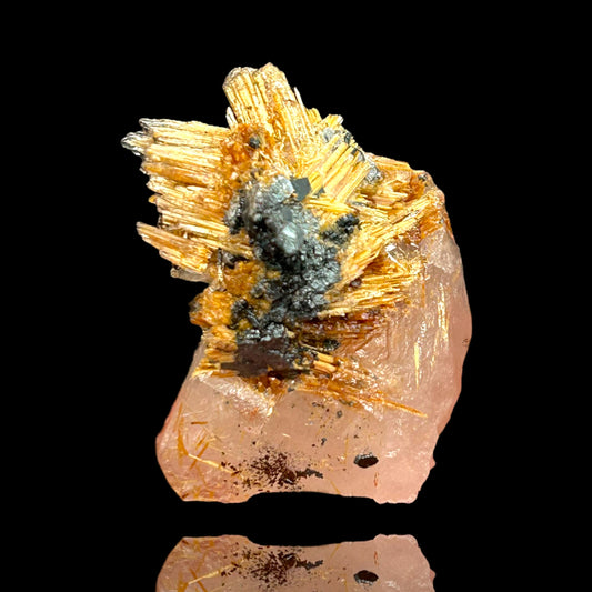 Rutile Star on Quartz - Novo Horizonte, Brazil
