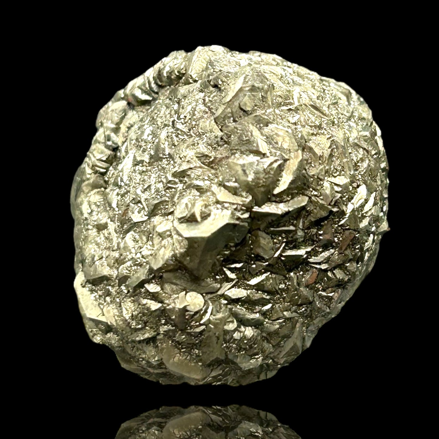 Pyritized Fossil - Hamelspringe, Germany
