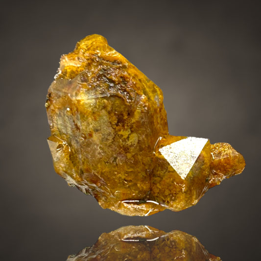 Quartz with Fungi inclusions/Quarz mit fossilen Pilzeinschlüssen - Sauerland