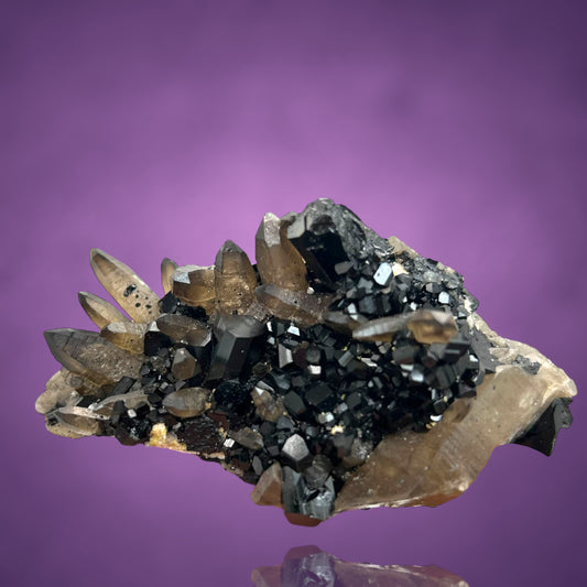 Rauchquarz, Schörl Turmalin/Smokey Quartz, Schorl - Erongo,Namibia