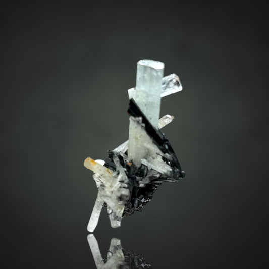 Aquamarin/e, Schorl Tourmaline - Erongo, Namibia
