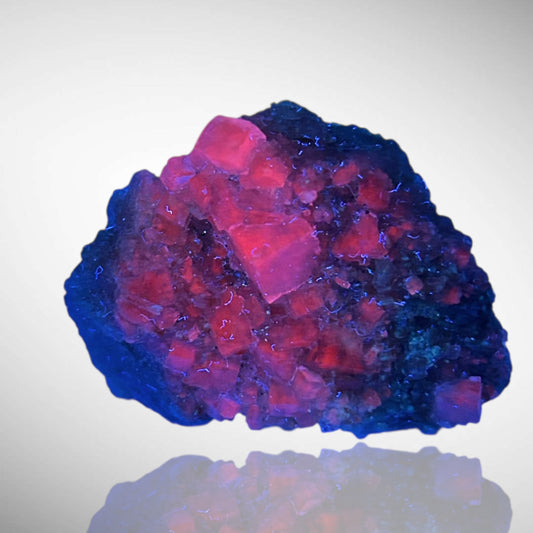 Halite - Bleicherode, Thuringia