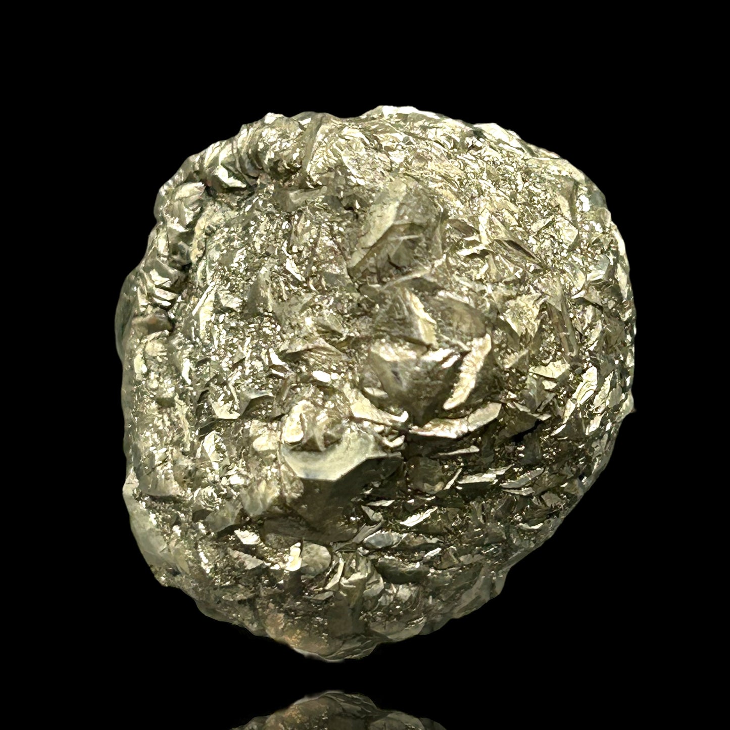 Pyritized Fossil - Hamelspringe, Germany