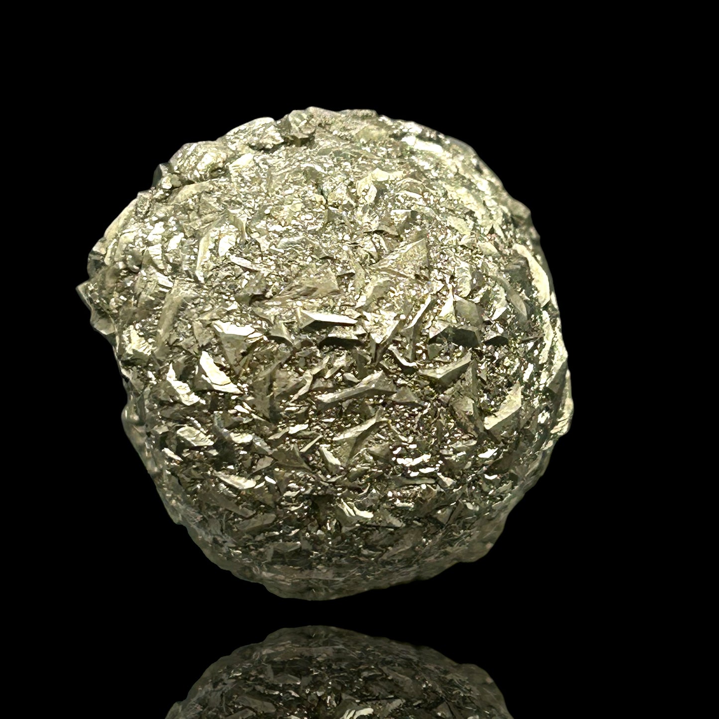 Pyritized Fossil - Hamelspringe, Germany