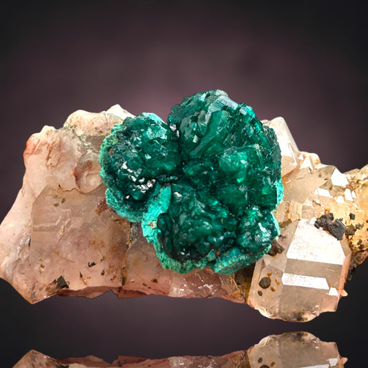 Dioptas/e & Quartz - Kaokoveld, Namibia