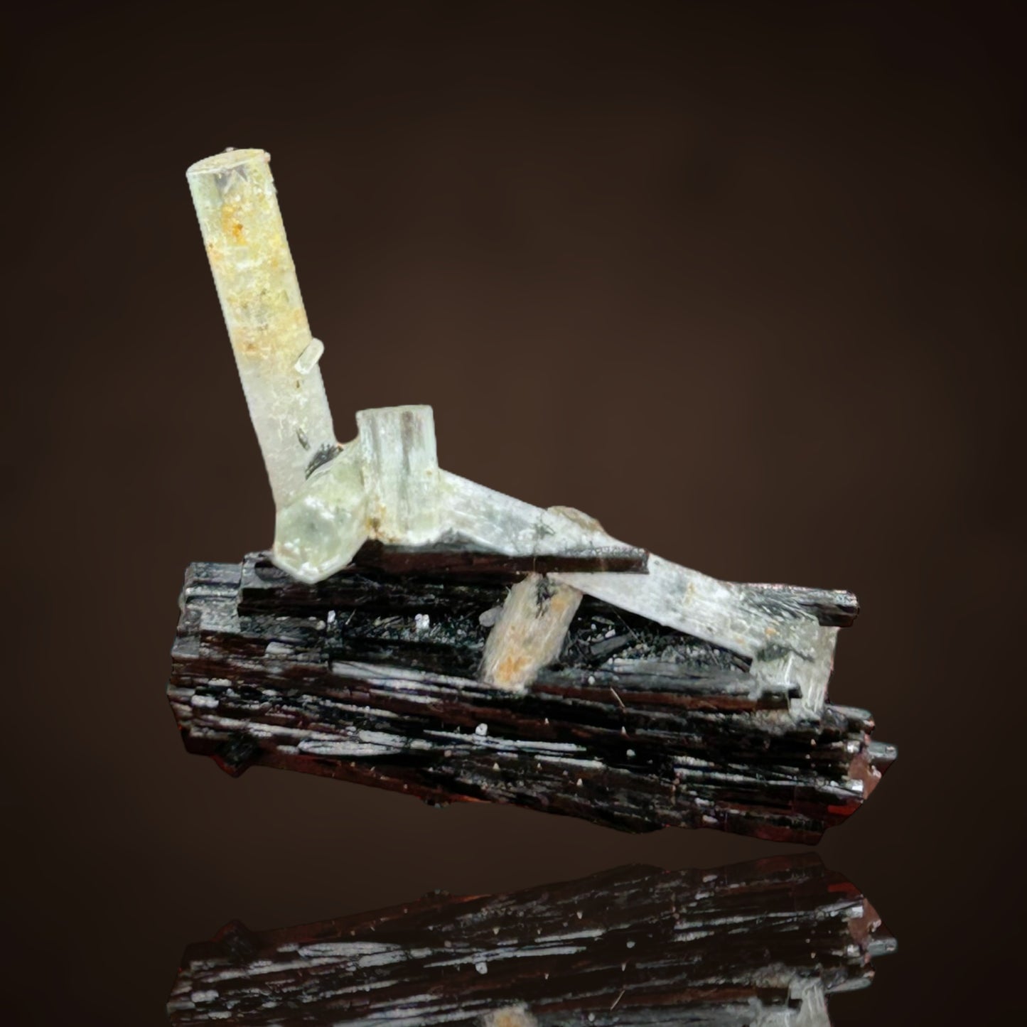 Aquamarin/e, Schorl Tourmaline- Erongo, Namibia