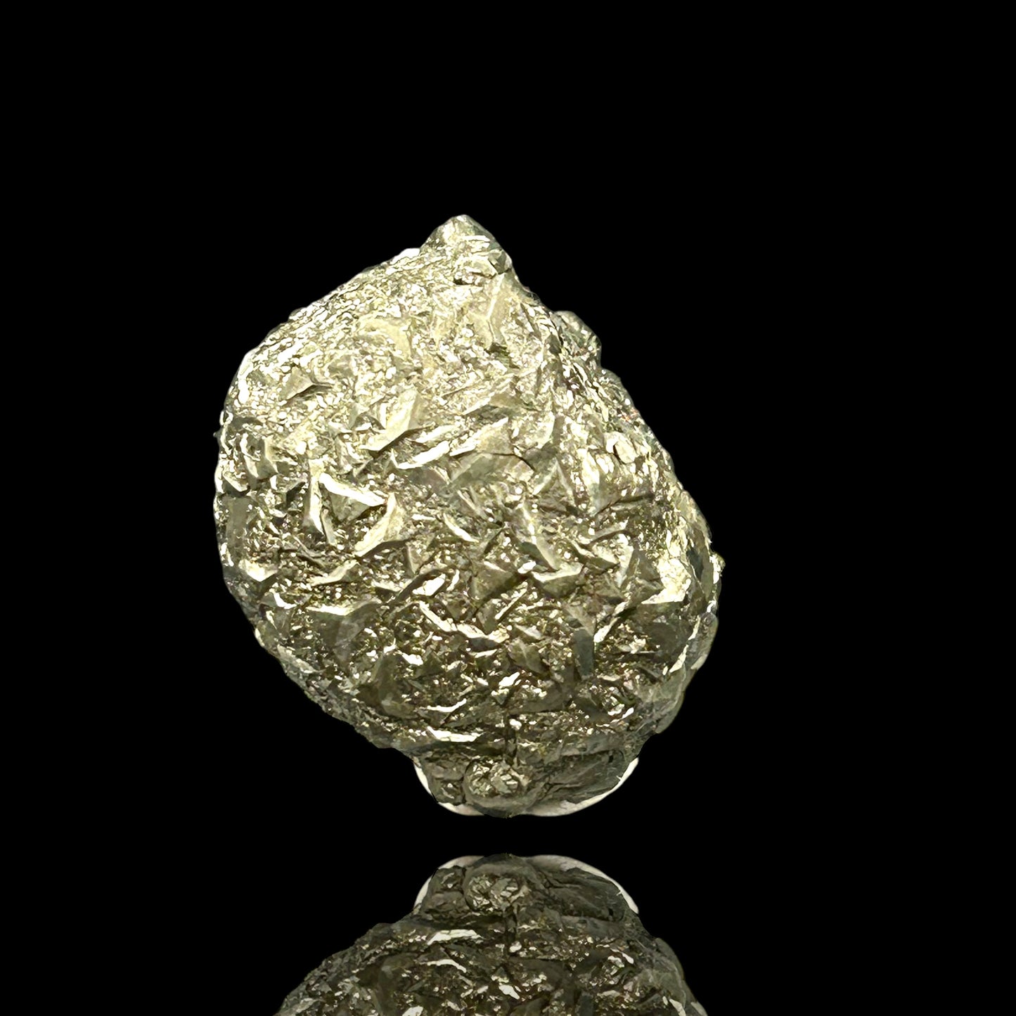 Pyritized Fossil - Hamelspringe, Germany