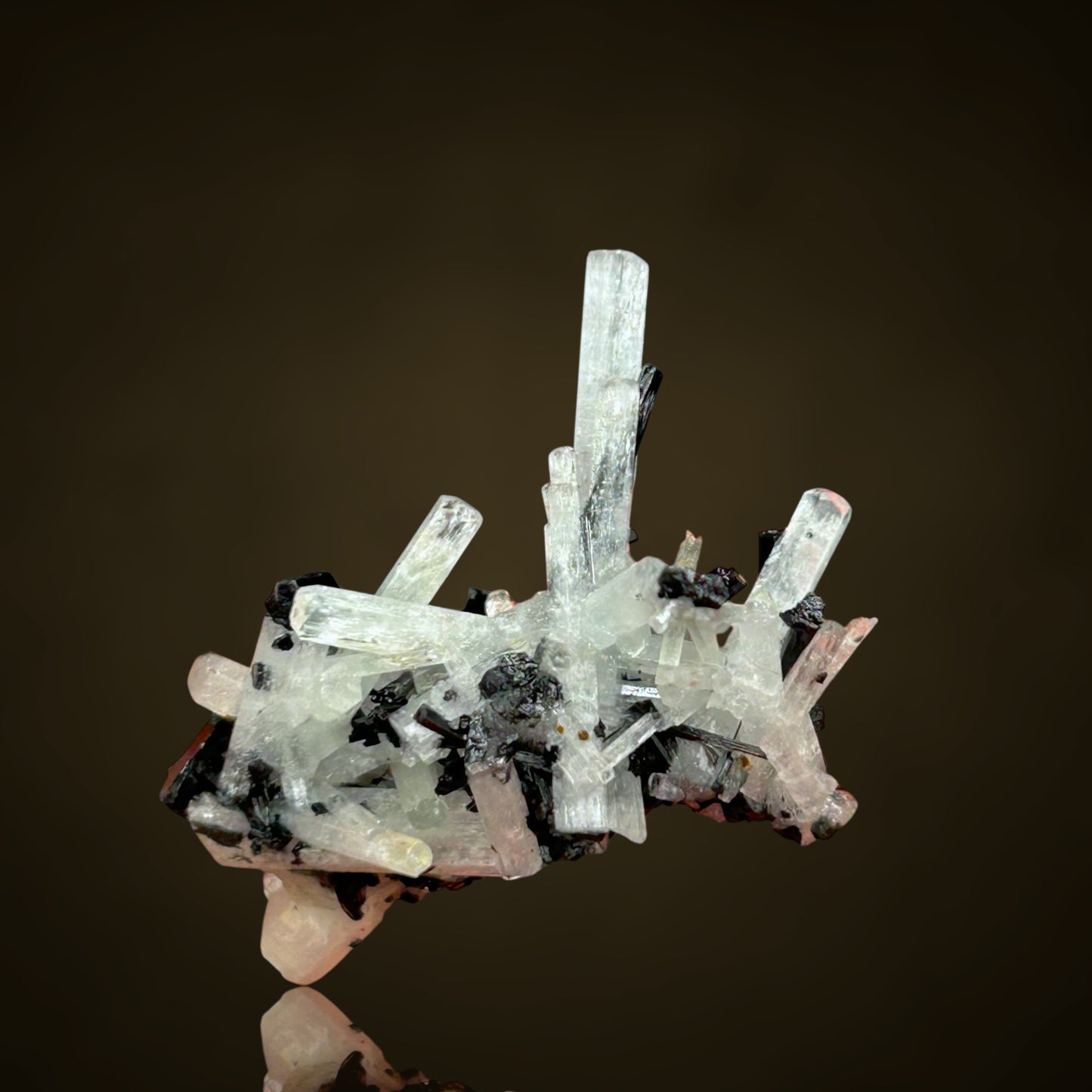 Aquamarin/e, Schorl - Erongo, Namibia