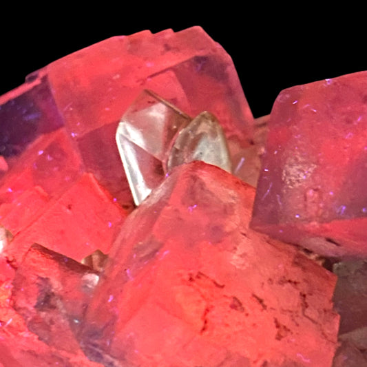 Mangano Halit/e, Gypsum - Bleicherode, Thüringen