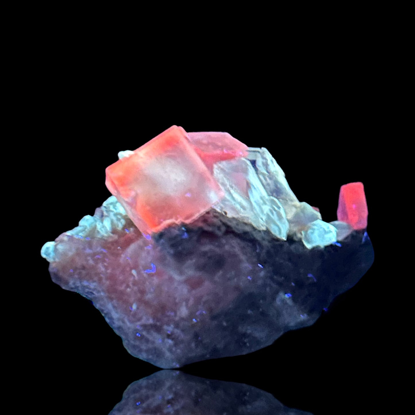 Halit/e, Gips/Gypsum - Bleicherode, Thuringia 🇩🇪