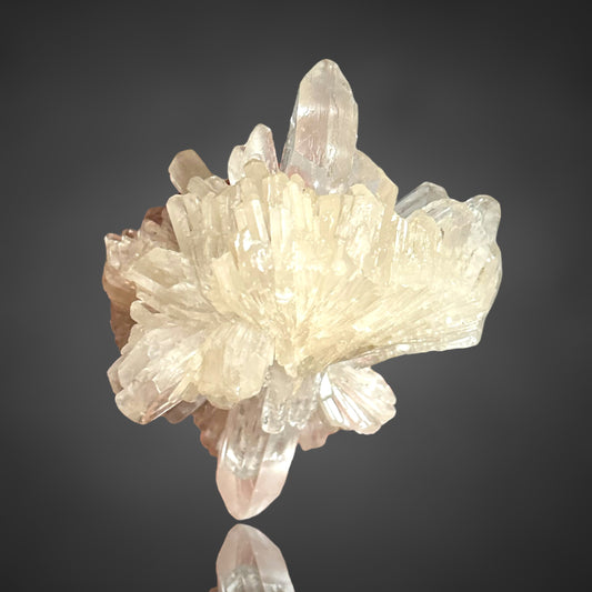 Gips xx/Gypsum - Zimmersrode, Kassel, Germany