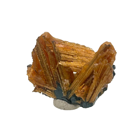 Opal with Rutile/Hematite Star - Novo Horizonte