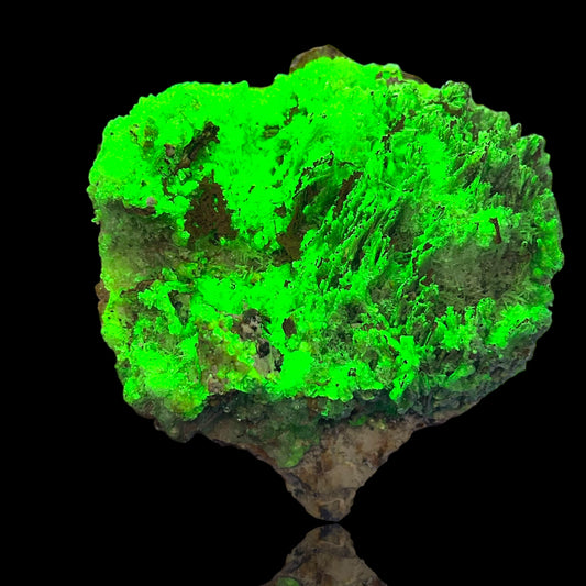 Hyalit/e Opal xxl - Erongo, Namibia