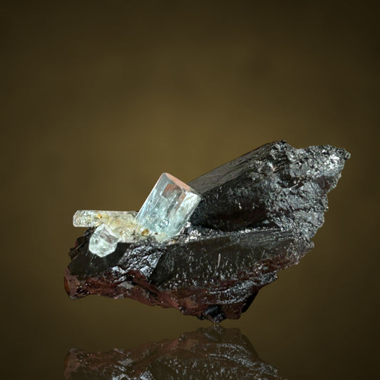 Aquamarine, Schorl Tourmaline - Erongo, Namibia