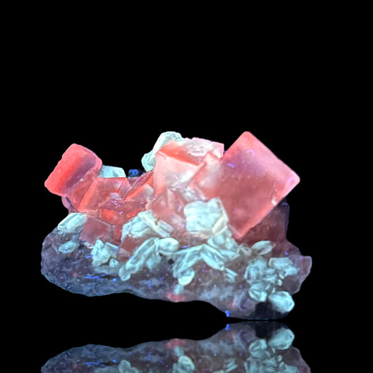 Halit/e, Gips/Gypsum - Bleicherode, Thuringia 🇩🇪