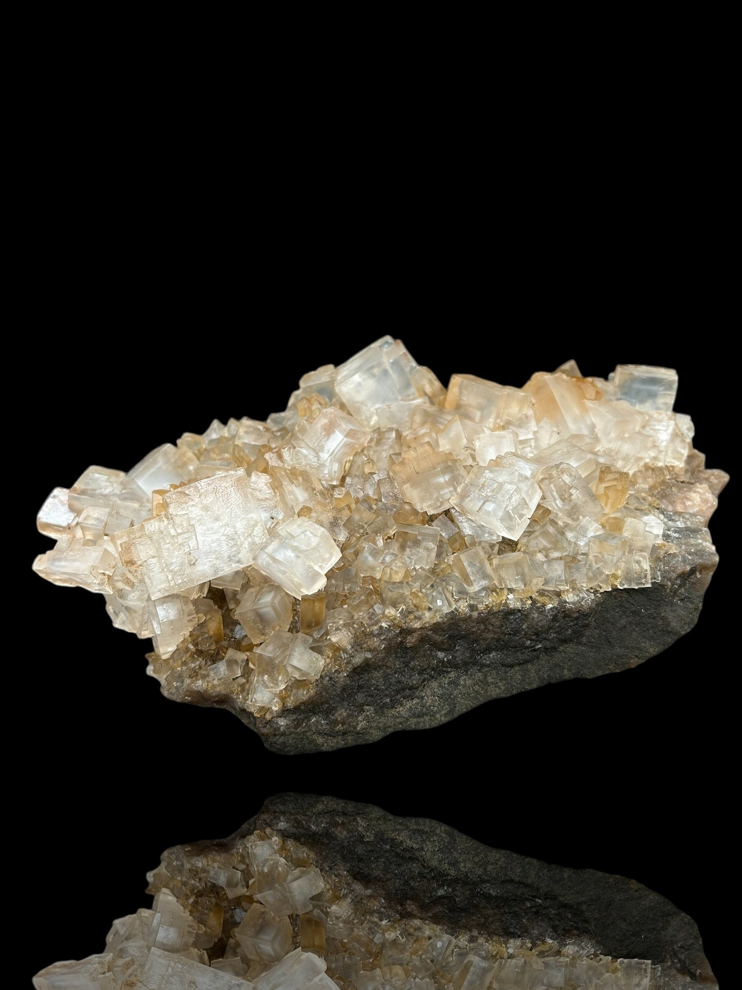 Halite & Gypsum - Bleicherode, Harz