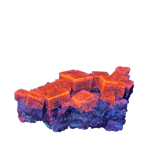 Halite from Bleicherode, Thuringia, Germany