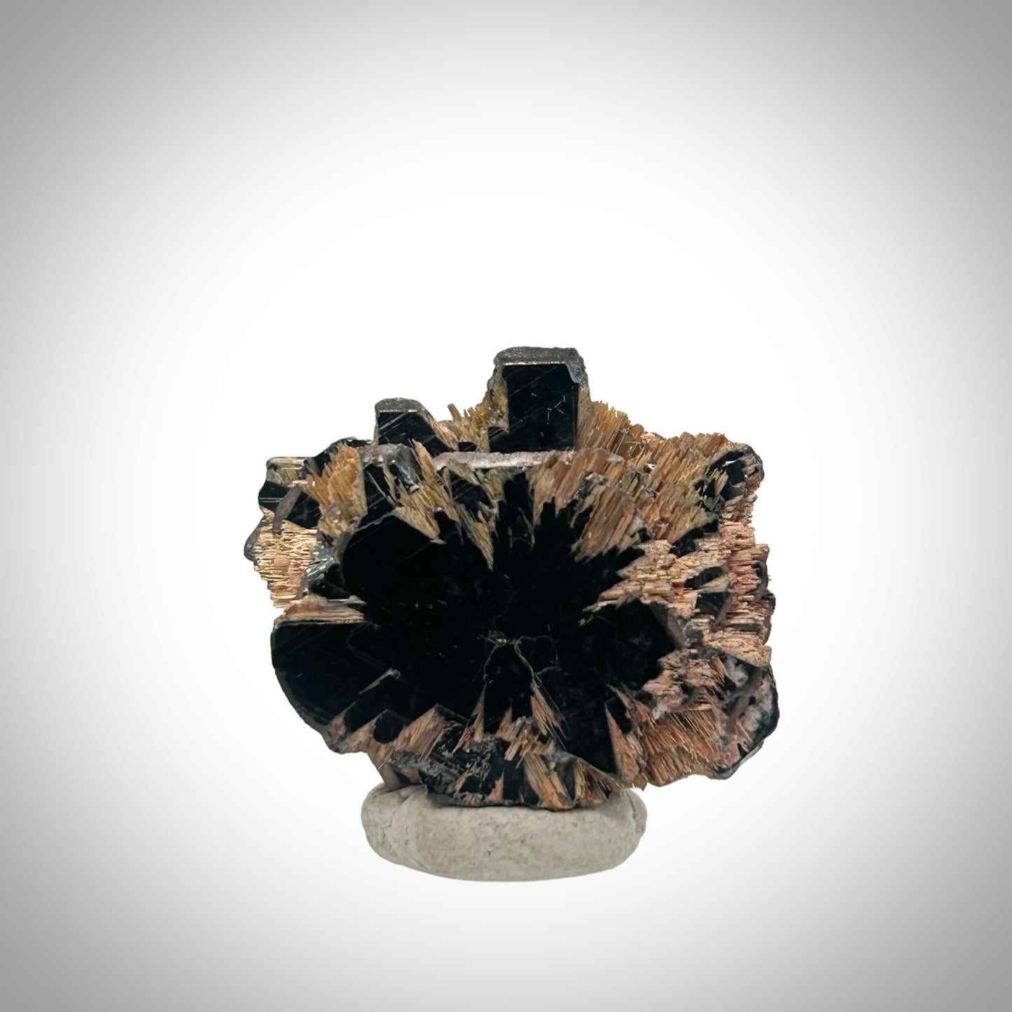 Rutile Star - Novo Horizonte