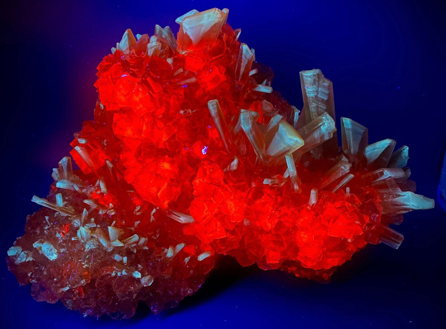 Halite, Sylvite - Bleicherode, Thuringia