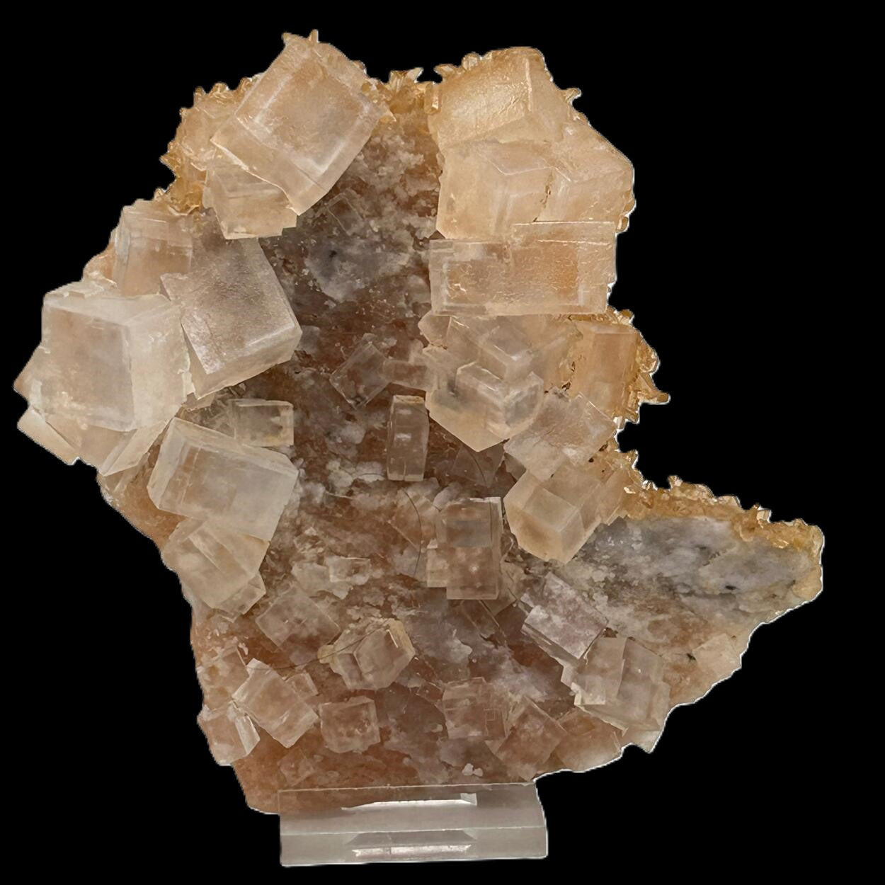 Halite & Gypsum Bleicherode