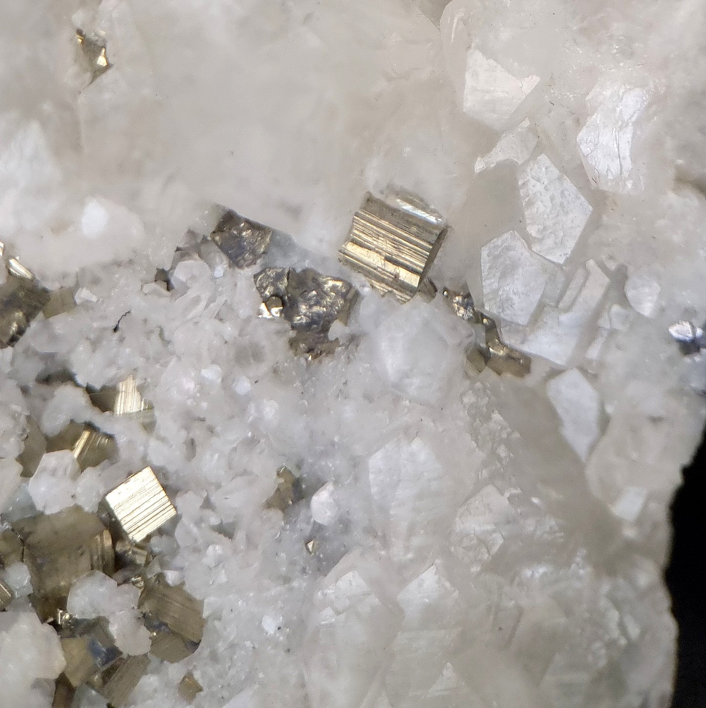 Calcit & Pyrit/Calcite & Pyrite - Baia Mare, Romania