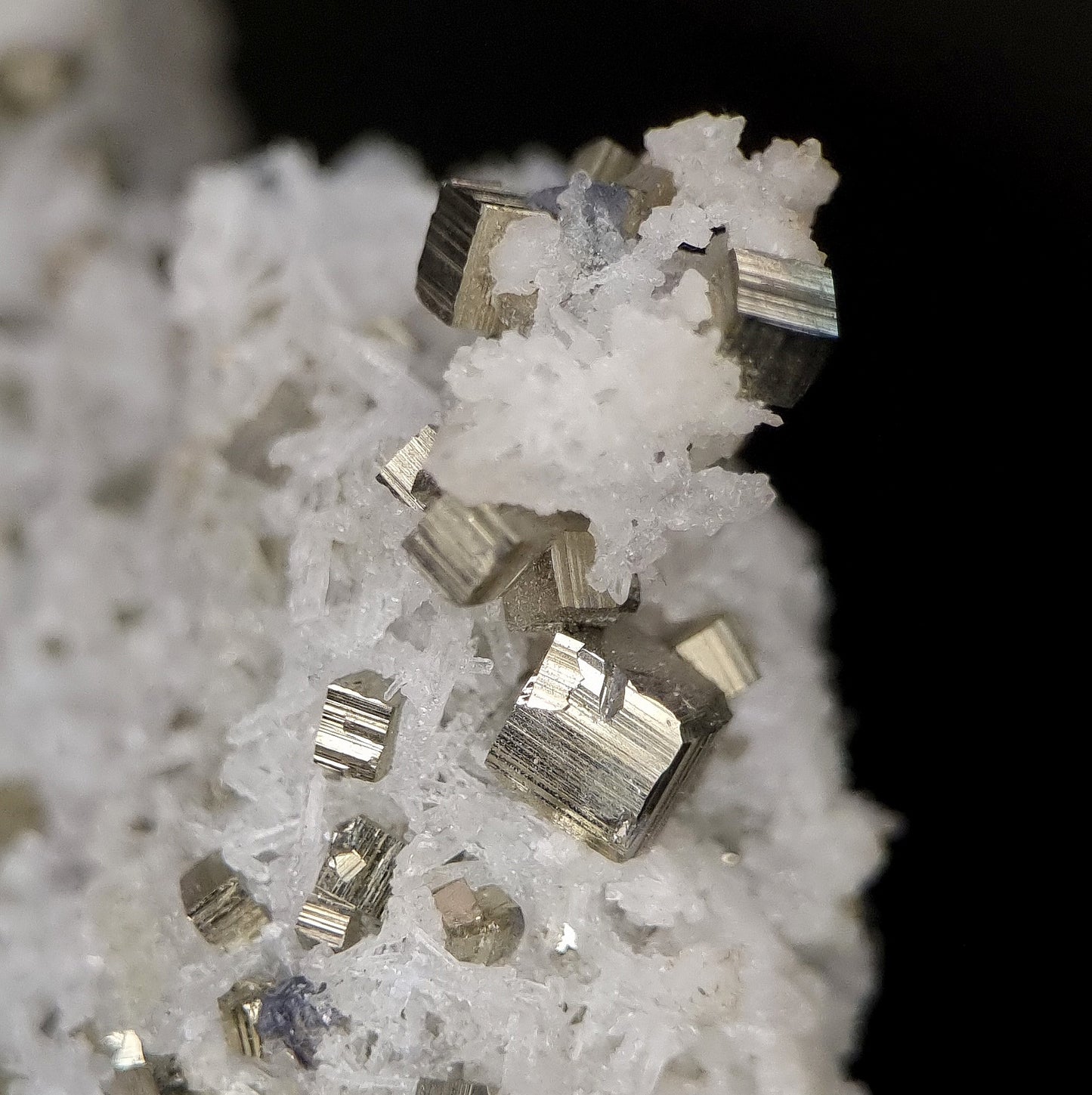 Calcit & Pyrit/Calcite & Pyrite - Baia Mare, Romania