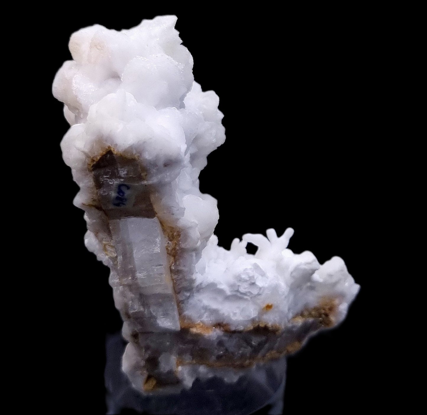 Aragonite Var Flos Ferri - Lavrion, Greece