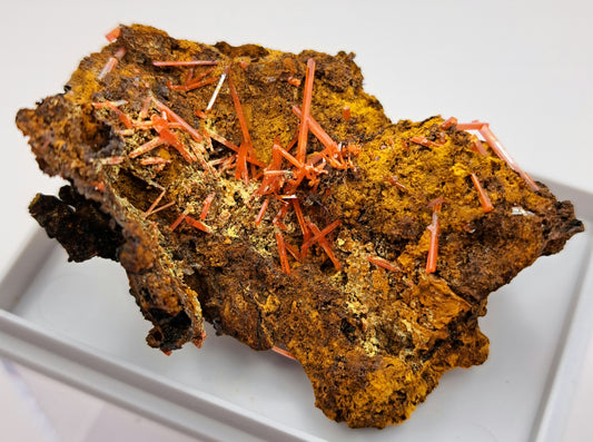 Crocoite - Dundas, Tasmania