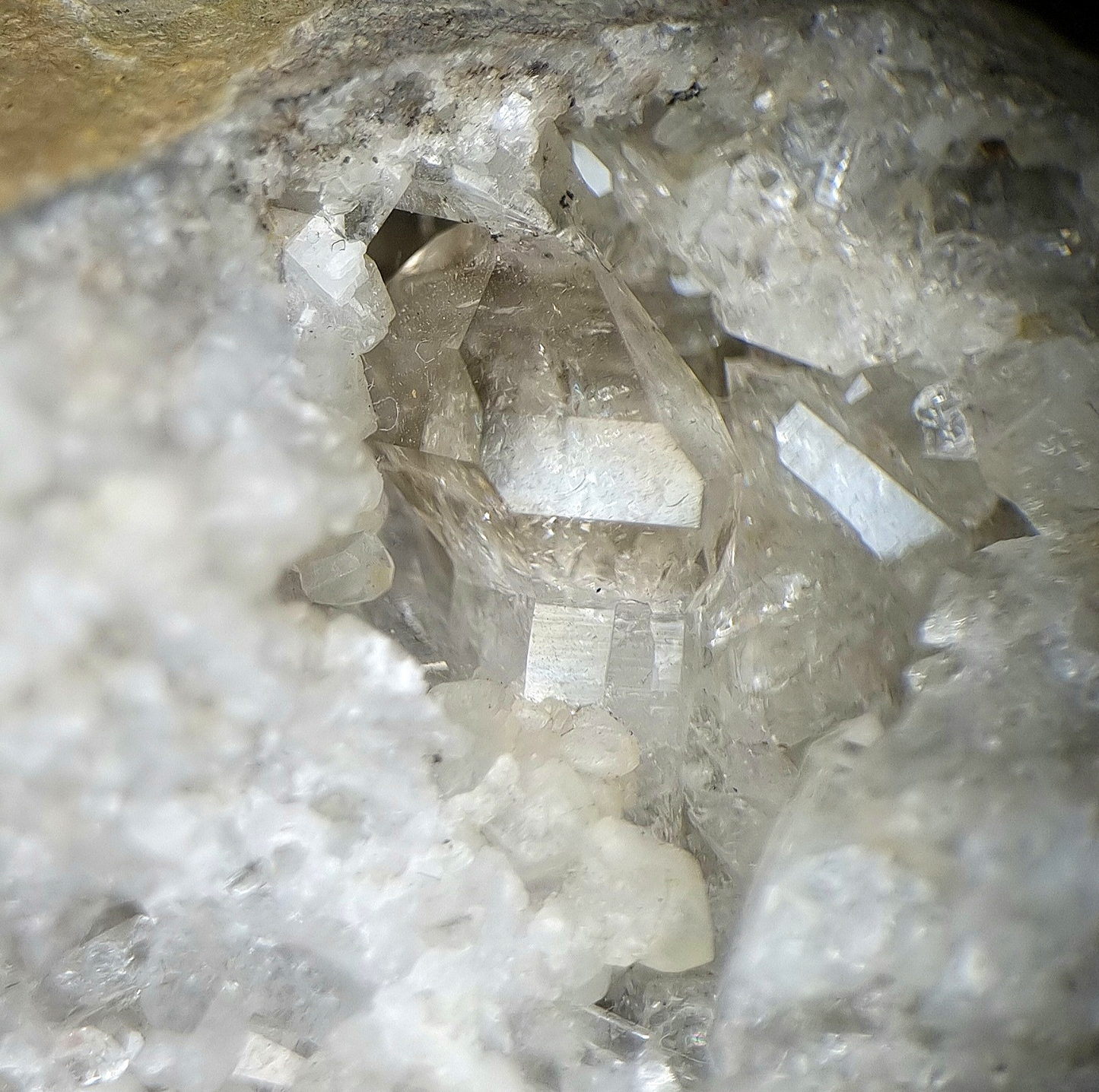 Schaumburg Diamond - Rinteln, Germany