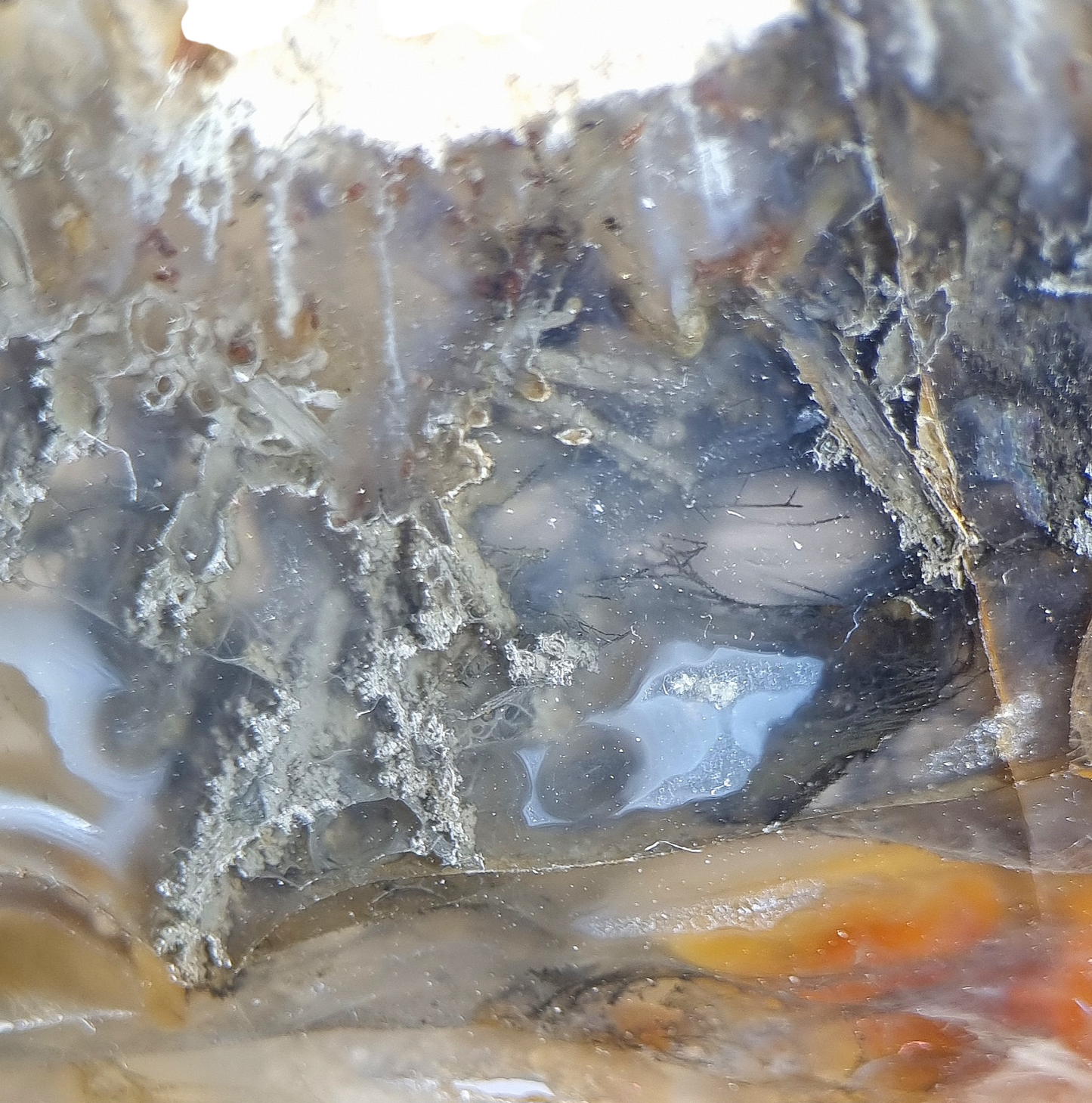 Gediegen Arsen, Realgar und Auripigment in Achat – Trent, Oregon