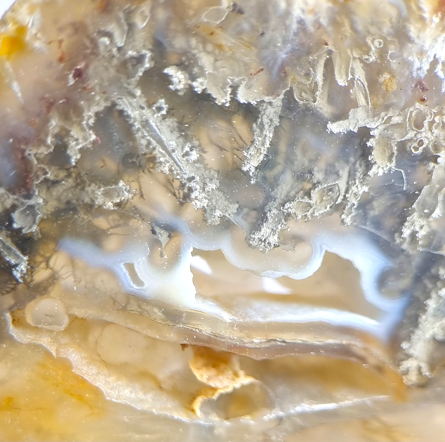 Gediegen Arsen, Realgar und Auripigment in Achat – Trent, Oregon