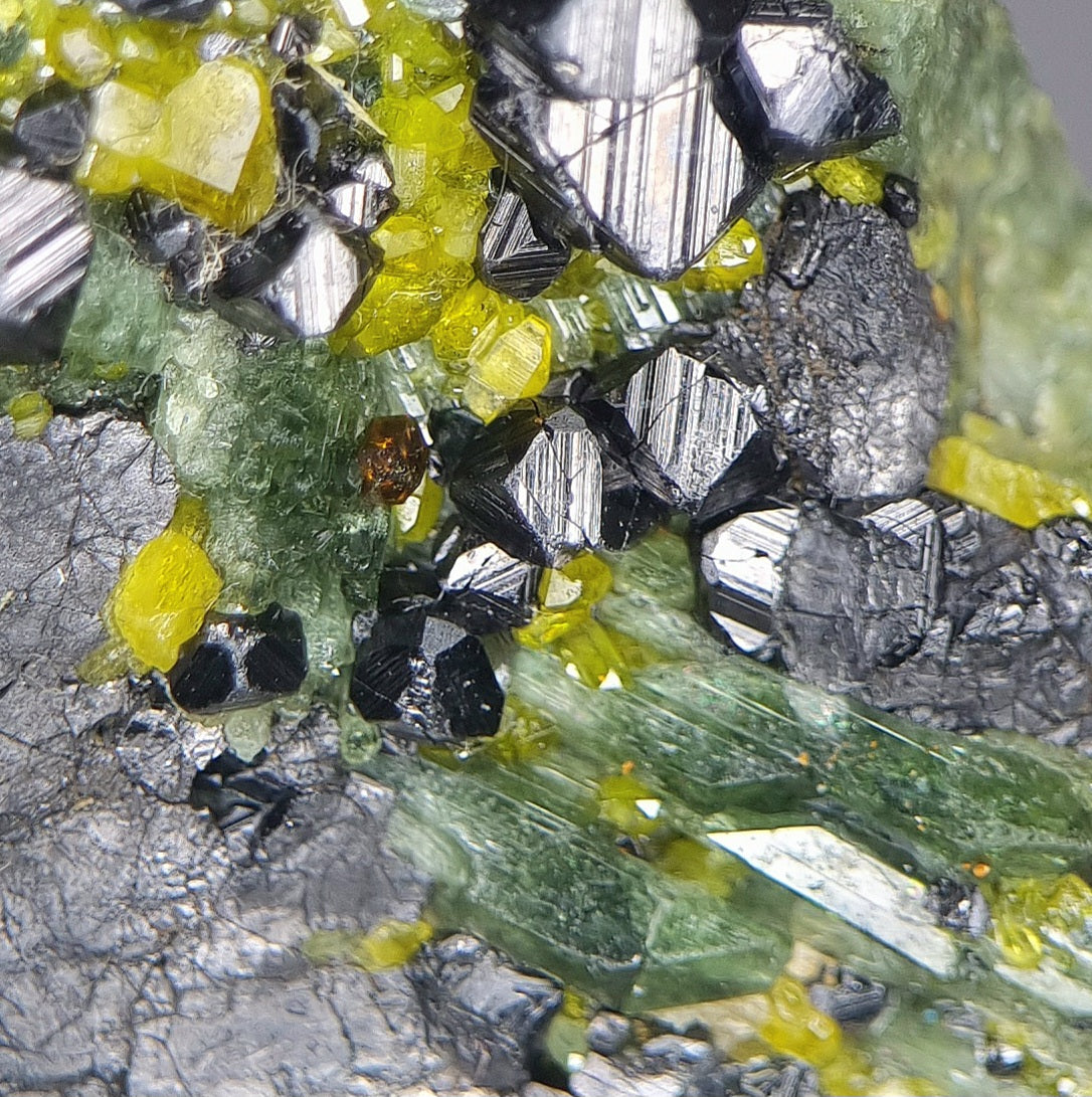 Magnetit, Vesuvianit, Diopsid & Andradit – Shigar, Pakistan