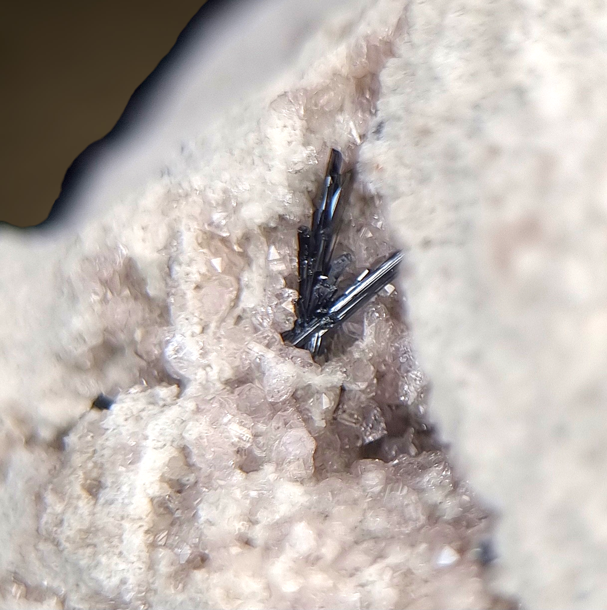 Pseudobrookit & Topas - Thomas Range