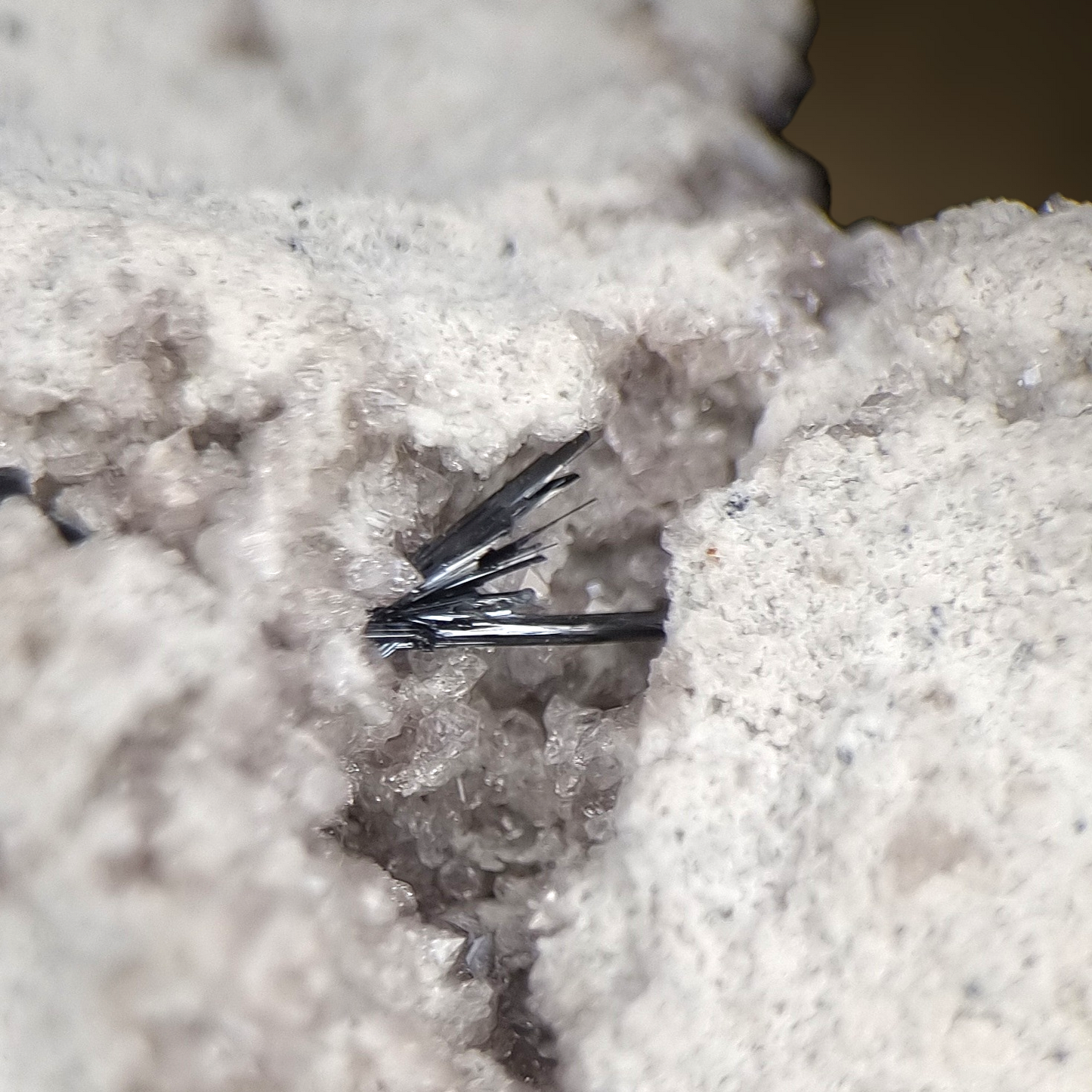 Pseudobrookit & Topas - Thomas Range