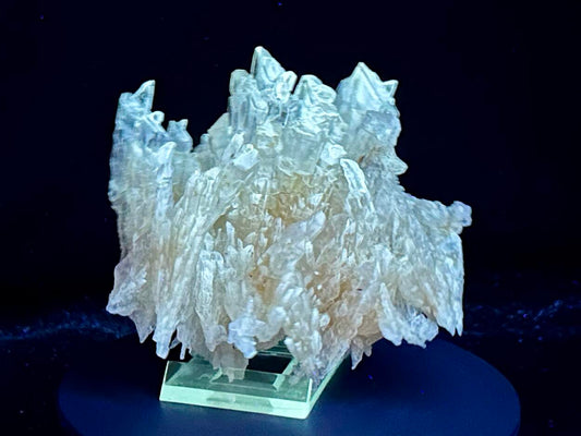 Gips/Gypsum - Bleicherode, Harz