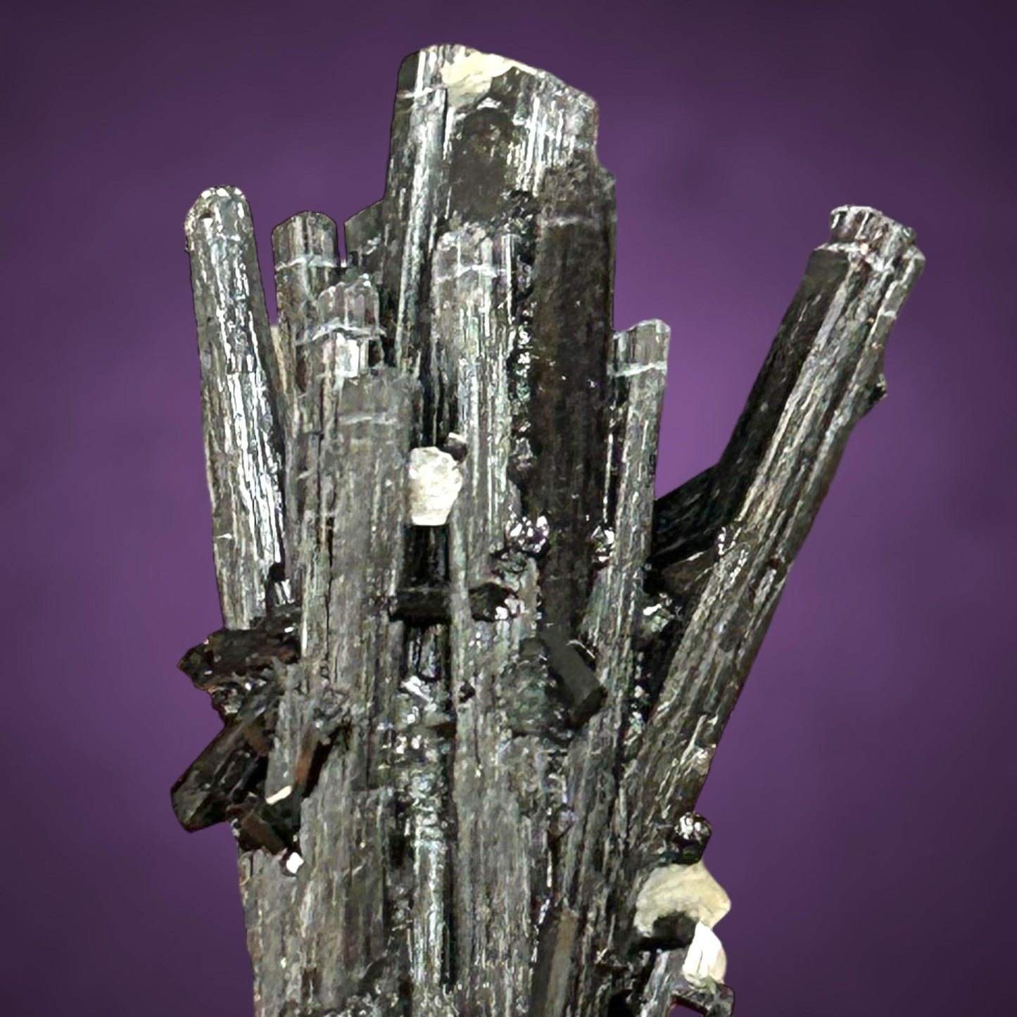 Turmalin/e, Fluorit/e & Zinnwaldit/e - Erongo, Namibia