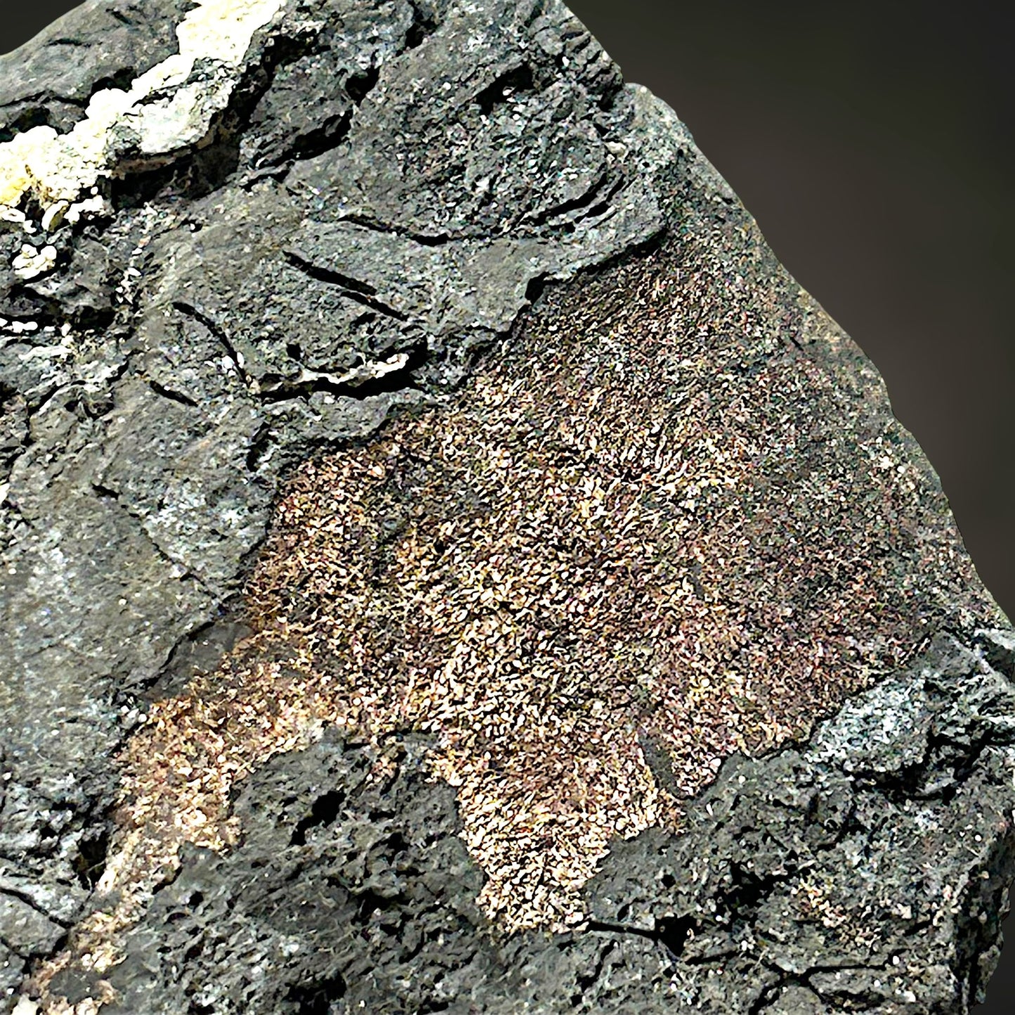 Native Silver in Native Arsenic - Erzgebirge