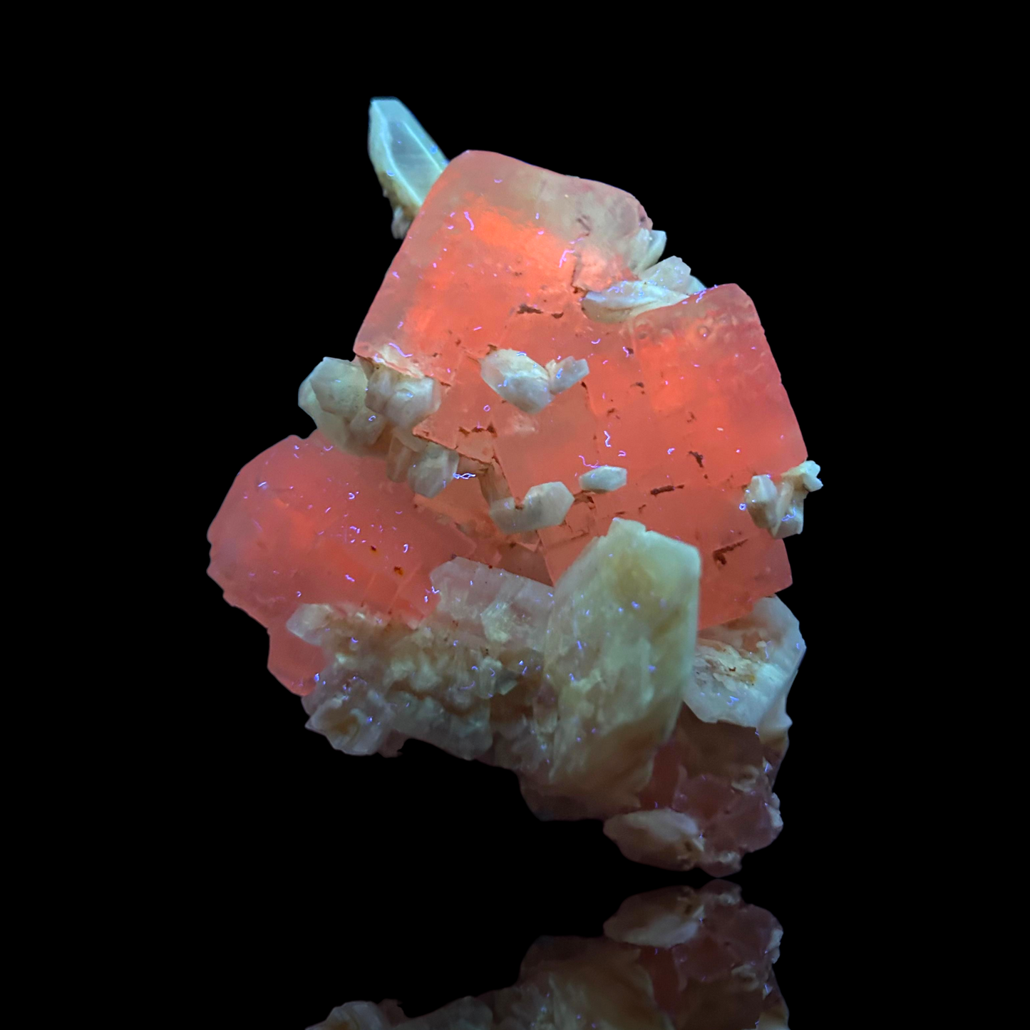 Halit & Gips - Bleicherode