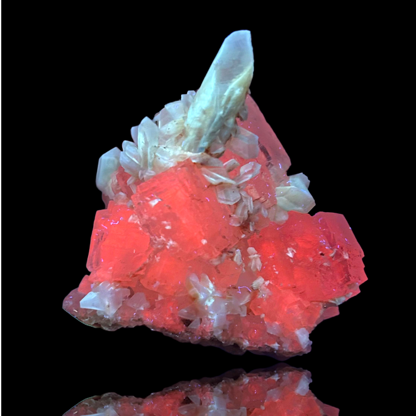 Halit & Gips - Bleicherode