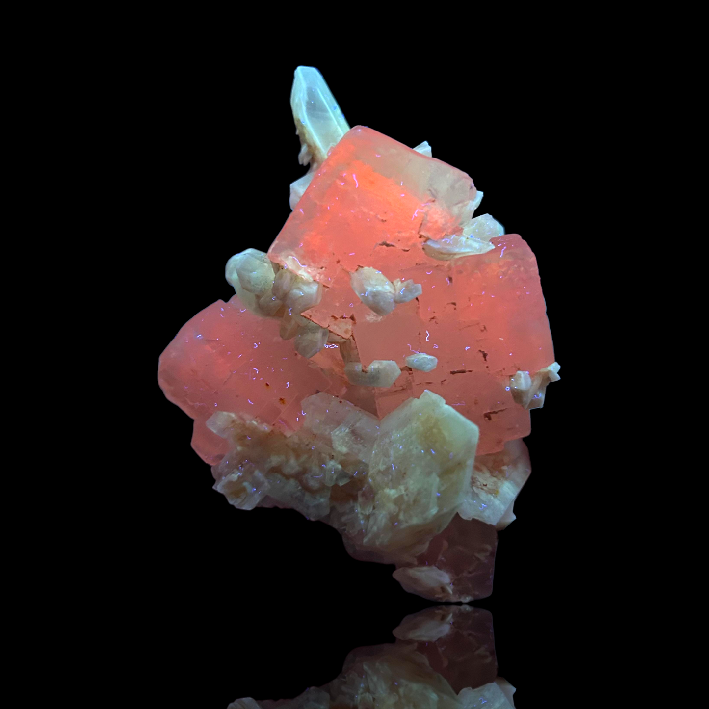 Halit & Gips - Bleicherode