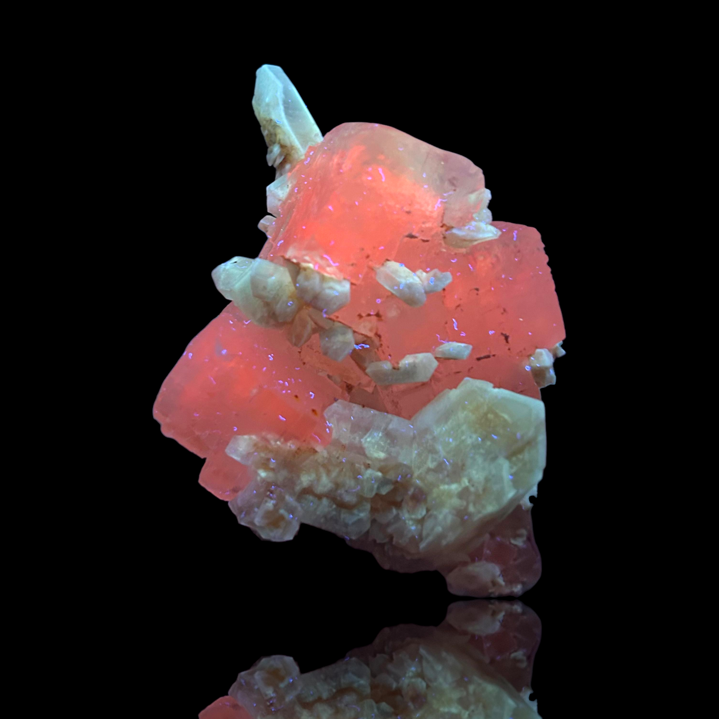 Halit & Gips - Bleicherode