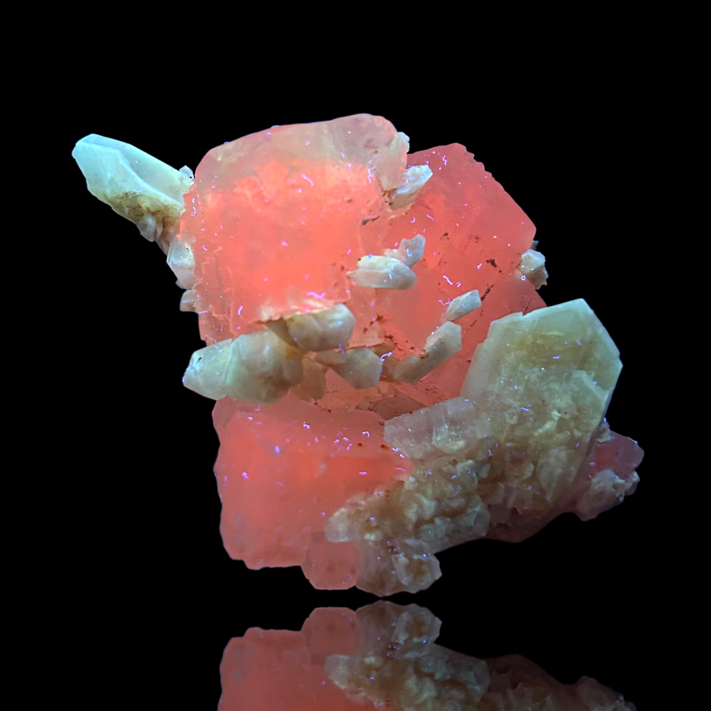 Halit & Gips - Bleicherode