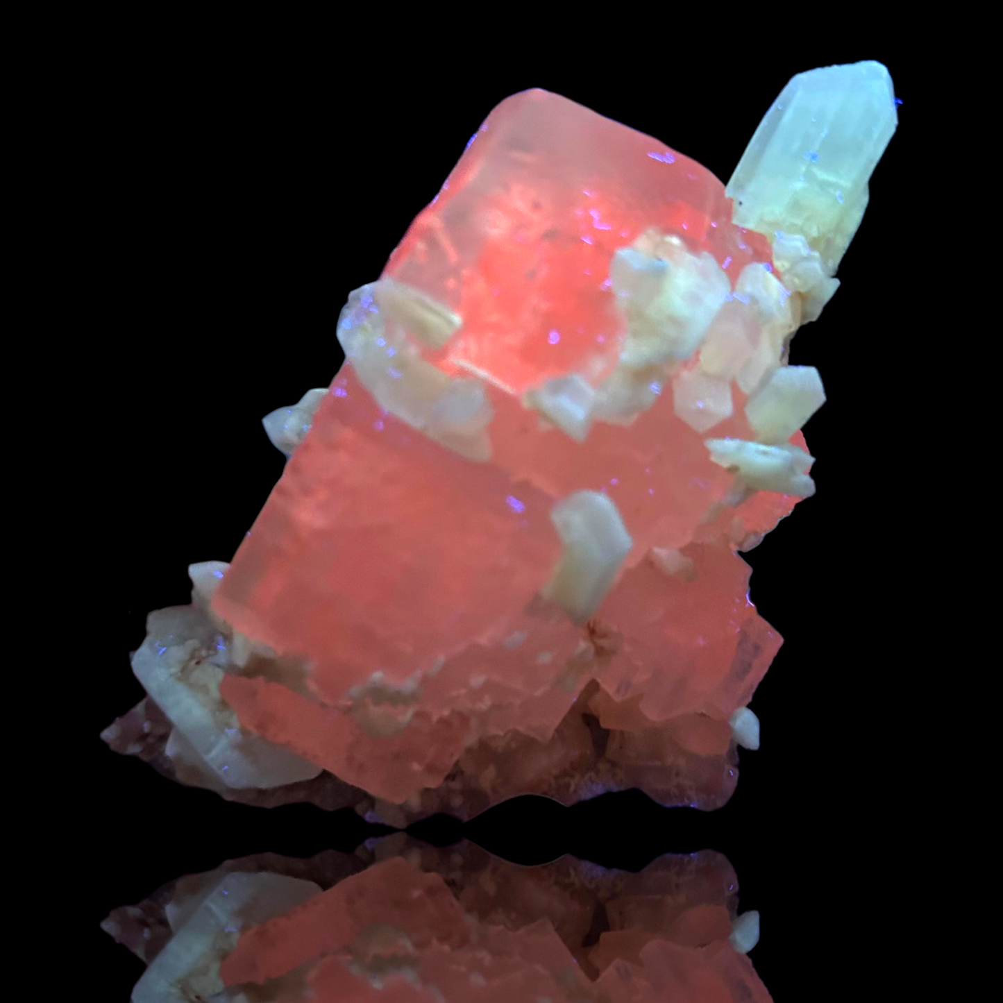 Halit & Gips - Bleicherode