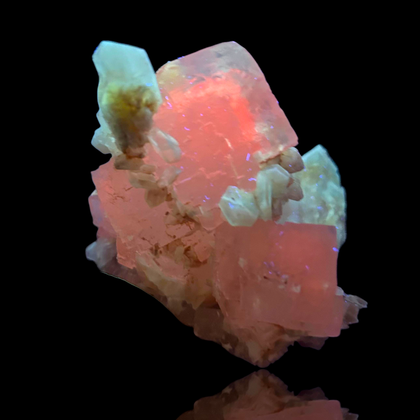 Halit & Gips - Bleicherode