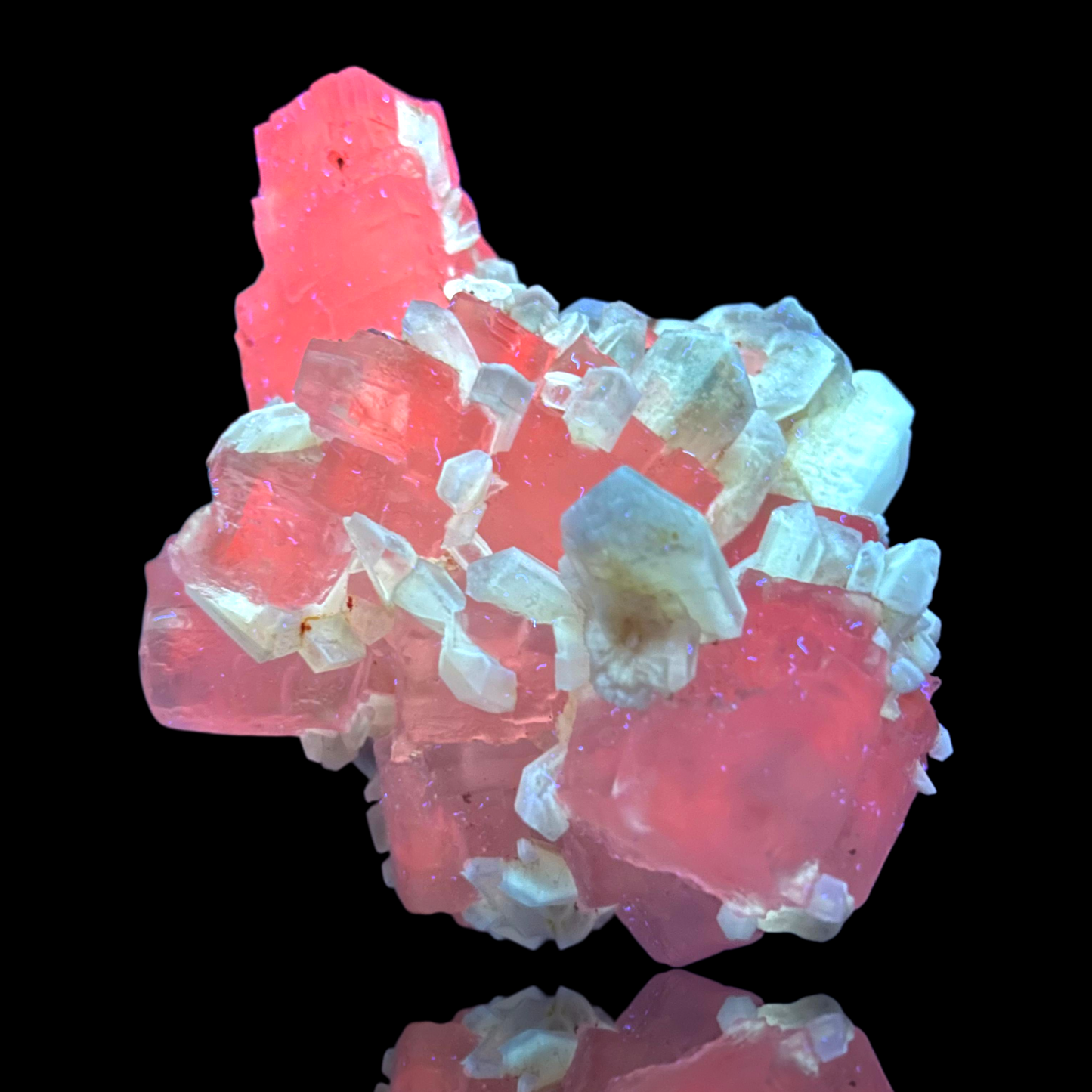 Halit & Gips - Bleicherode