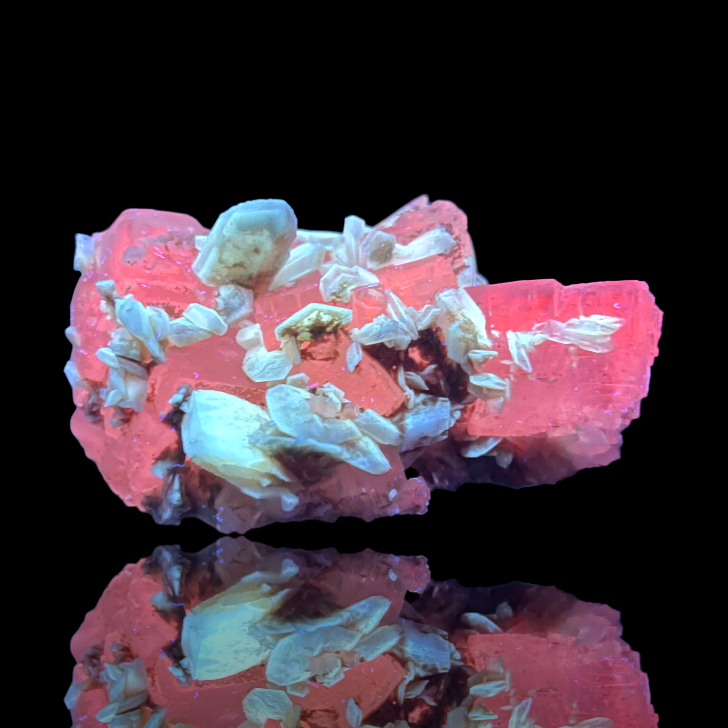 Halit & Gips - Bleicherode