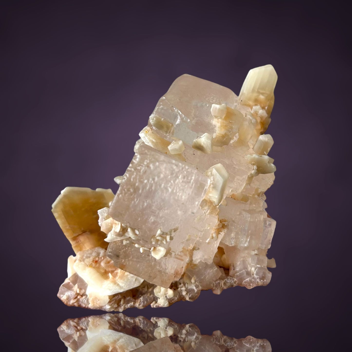 Halit & Gips - Bleicherode