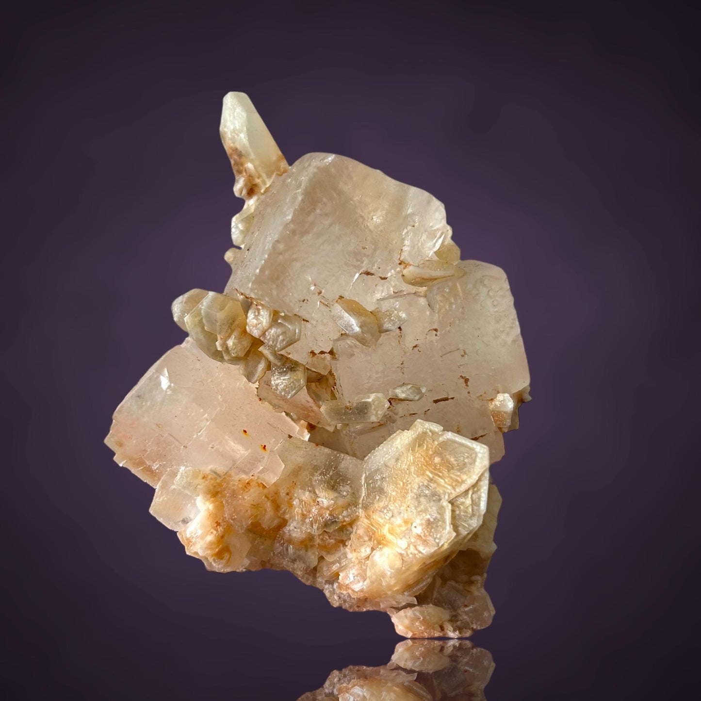 Halit & Gips - Bleicherode